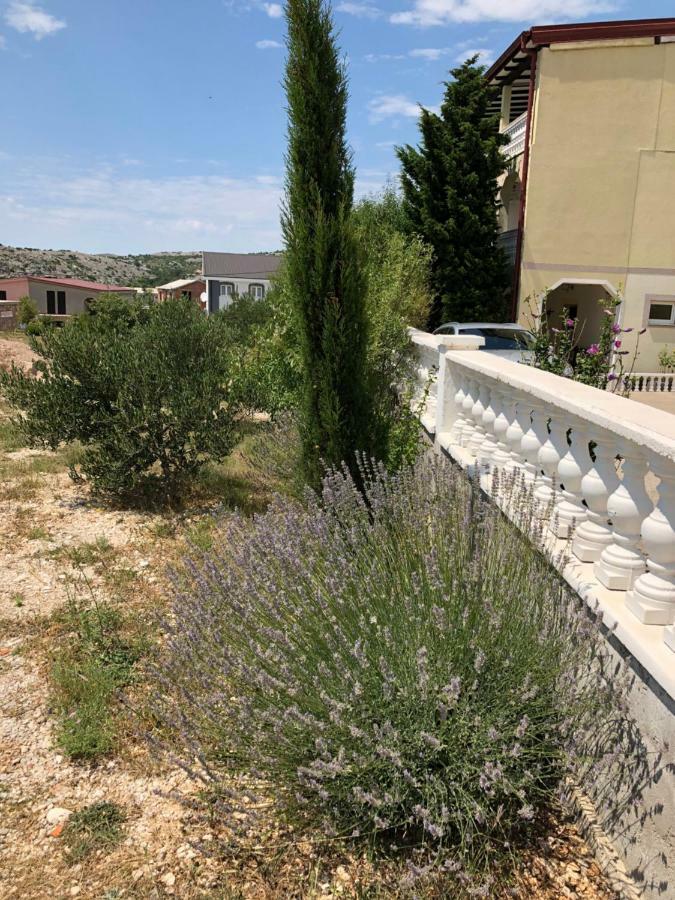 Apartmani Gabi Cesarica Eksteriør billede